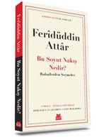 Bu Soyut Nak Nedir? Krmz Kedi Yaynevi