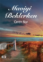 Maviyi Beklerken Tilki Kitap