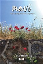 Mavi Tilki Kitap