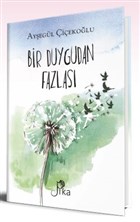 Bir Duygudan Fazlas Pika Yaynevi