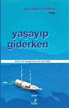 Yaayp Giderken zan Yaynclk