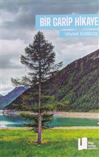 Bir Garip Hikaye Kitap Kulb Yaynlar