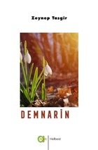 Demnarin Aram Yaynlar