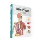 nsan Fizyolojisi stanbul Tp Kitabevi
