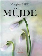 Mjde Asmaalt Yaynevi