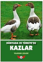 Dnyada ve Trkiye`de Kazlar Minel Yayn