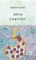 Altn ayrlar ule Yaynlar