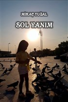 Sol Yanm Snrsz Kitap