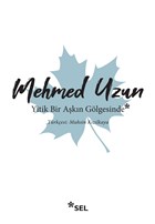 Yitik Bir Akn Glgesinde Sel Yaynclk