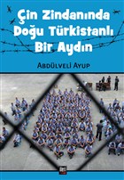 in Zindannda Dou Trkistanl Bir Aydn leri Yaynlar