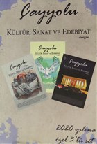 ayyolu Kltr, Sanat ve Edebiyat Dergisi 2020 Ylna zel 3`l Set ayyolu Dergisi Yaynlar