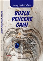 Buzlu Pencere Cam Bar Kitap