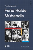 Fena Halde Mhendis Doan Solibri