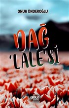 Da Lale`si Gece Kitapl