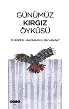 Gnmz Krgz yks Hece Yaynlar