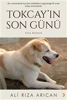 Tokcay`n Son Gn Cinius Yaynlar