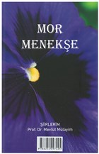 Mor Meneke Atlas Akademi