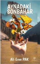 Aynadaki Sonbahar Platanus Publishing
