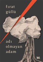 Ad Olmayan Adam Delidolu