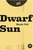 Dwarf Sun 160. Kilometre Yaynevi