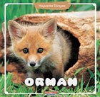Orman - Hayvanlar Dnyas Yumurcak Yaynlar