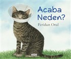 Acaba Neden? Yap Kredi Yaynlar