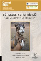 St Devesi Yetitiricilii Akademisyen Kitabevi