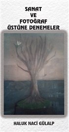 Sanat Ve Fotoraf stne Denemeler Platanus Publishing