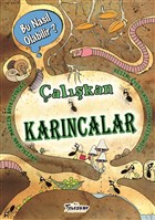 alkan Karncalar Bu Nasl Olabilir? Teleskop Popler Bilim