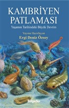 Kambriyen Patlamas BilgeSu Yaynclk