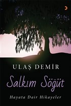 Salkm St Cinius Yaynlar