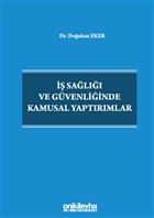  Sal ve Gvenliinde Kamusal Yaptrmlar On ki Levha Yaynlar