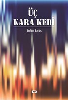 Kara Kedi Tilki Kitap