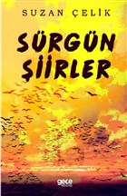 Srgn iirler Gece Kitapl