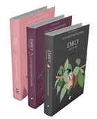Rzgarn Kz Emily Serisi (3 Kitap Takm) Cem Yaynevi