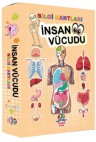 nsan Vcudu Bilgi Kartlar Yamur ocuk
