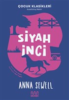 Siyah nci Mundi