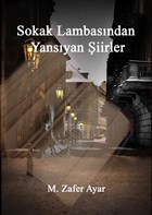 Sokak Lambasndan Yansyan iirler Akademisyen Kitabevi
