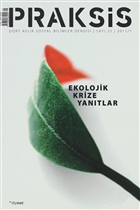 Praksis Say : 25 Dipnot Yaynlar