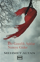 Bir Gecelik Aklar Nereye Gider Hemen Kitap