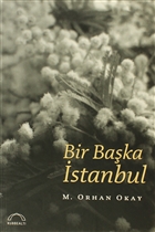 Bir Baka stanbul Kubbealt Neriyat Yaynclk