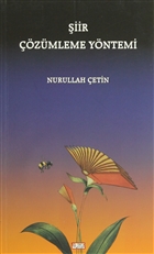 iir zmleme Yntemi nc Kitap
