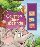 alkan Filler banda Pati Eitim Gereleri