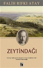 Zeytinda Pozitif Yaynlar
