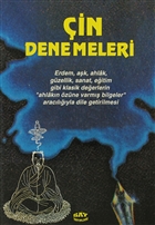 in Denemeleri Say Yaynlar
