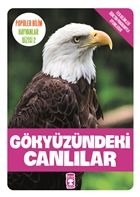 Gkyzndeki Canllar Tima ocuk - lk ocukluk
