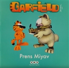 Prens Miyav Yap Kredi Yaynlar