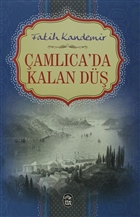 amlca`da Kalan D Kitaphane Yaynlar